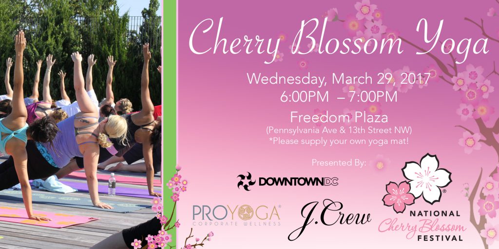 Downtowndc Cherry Blossom Yoga Downtowndc