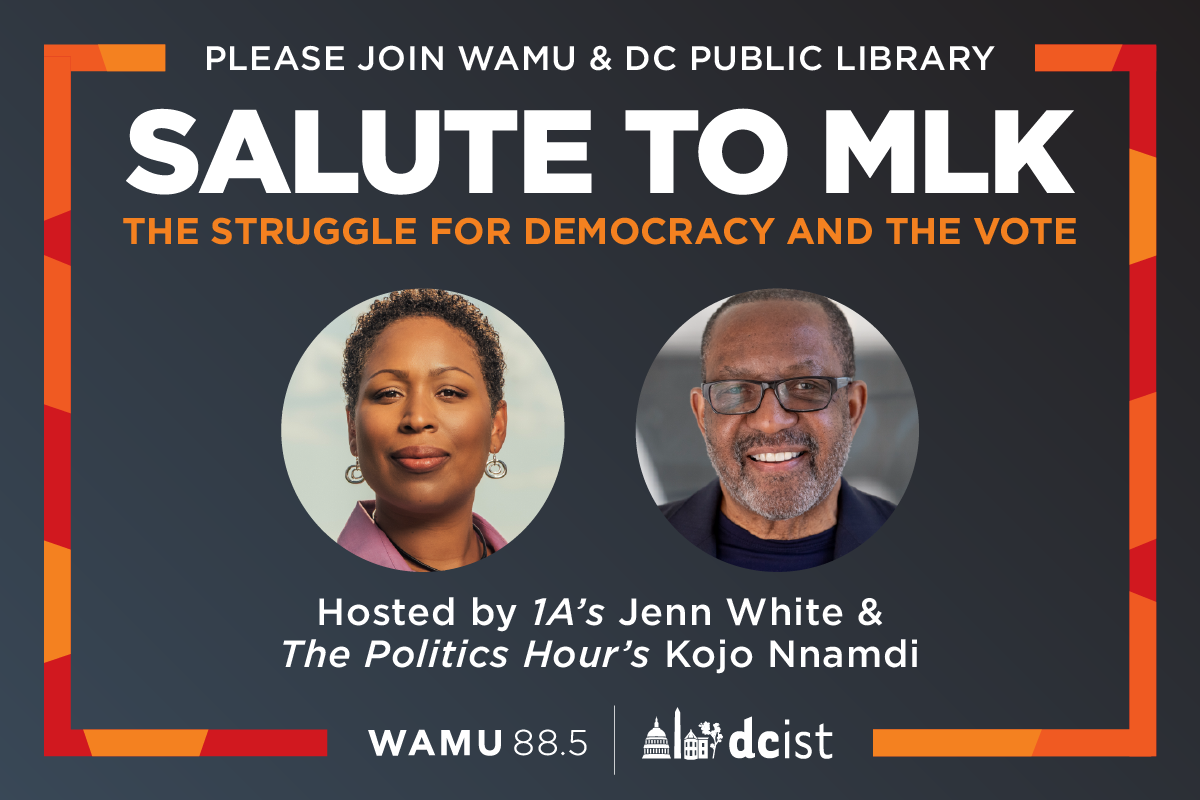 Salute to MLK: The Struggle for Democracy and The Voteorial Library