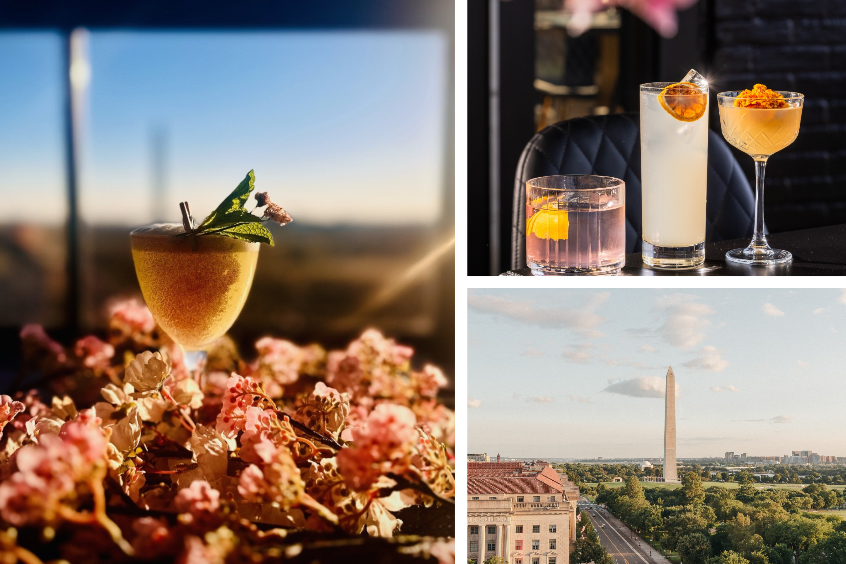 cherry-blossom-rooftop-bars