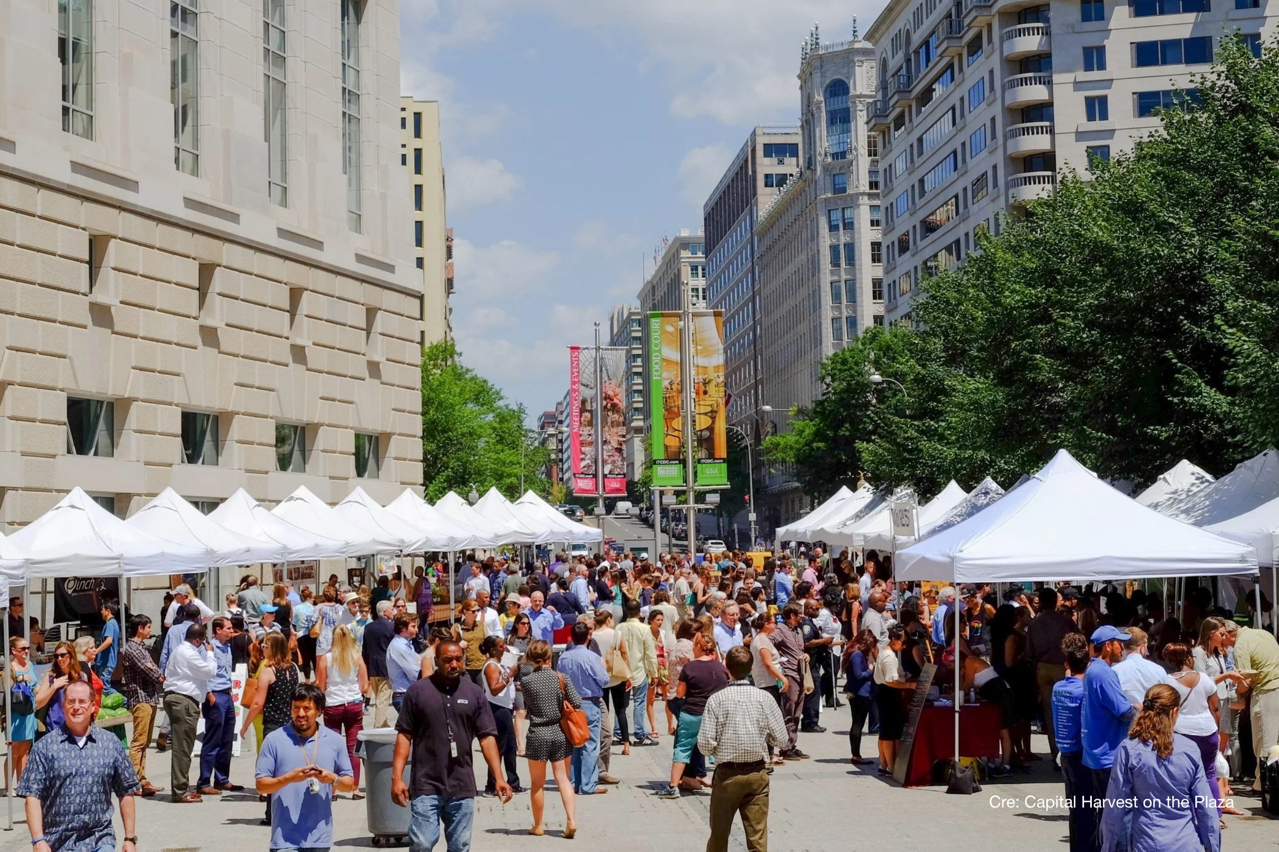Budget Friendly Eats in Downtown DC