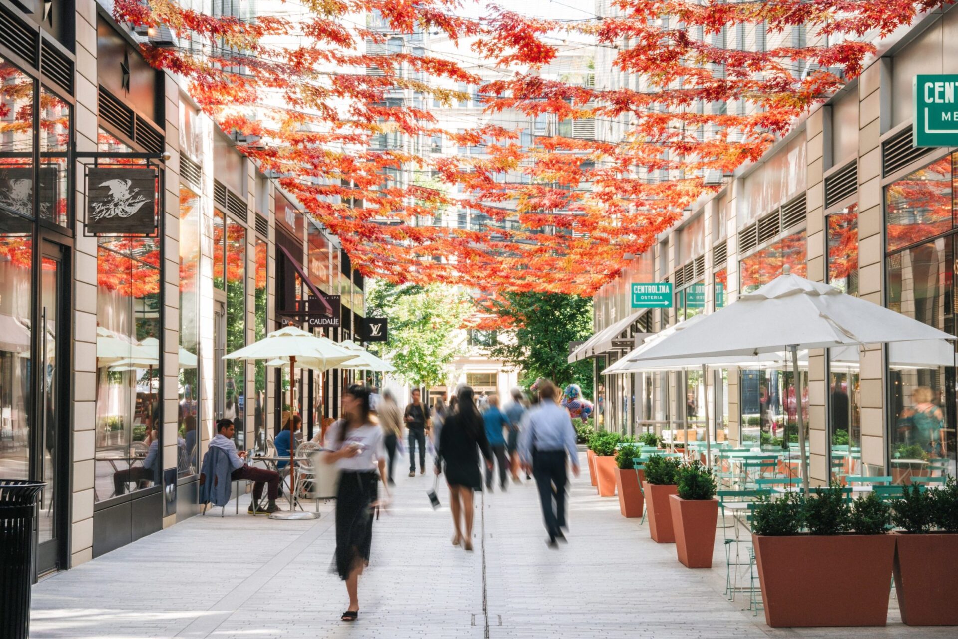 Fall in Downtown