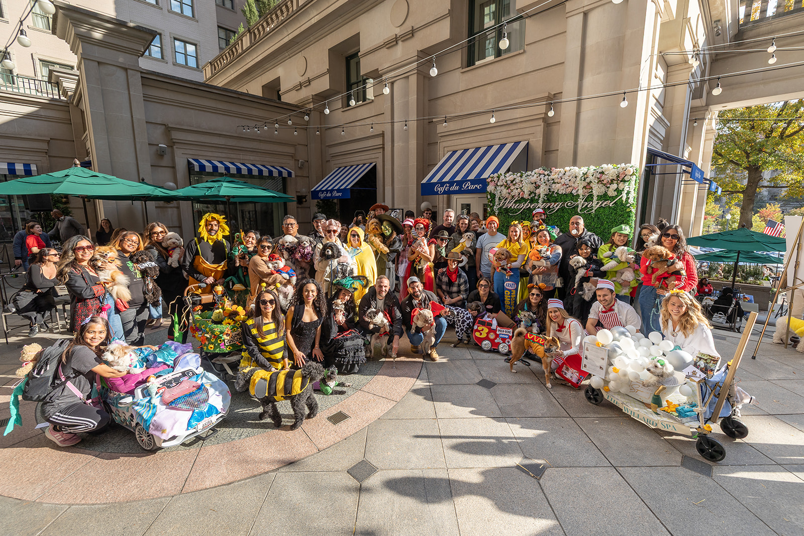 Cafe du Paws Halloween